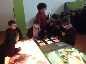 IMG_20170223_150742_site