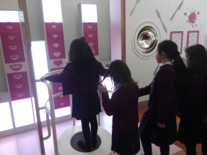 IMG_20170223_151438_site