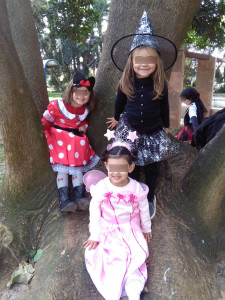 IMG_20170224_104435_Site