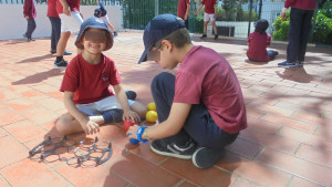 DSC08629_site