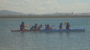DSC09277_site