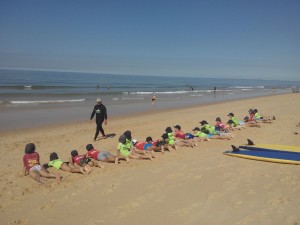 IMG_20170727_101254_site