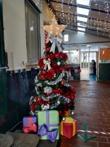 IMG_20201203_154501